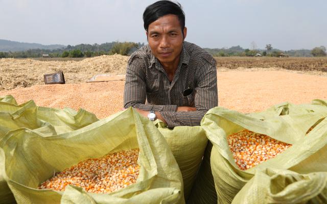 Corn Plantation Livelihoods in Kachin, Myanmar 